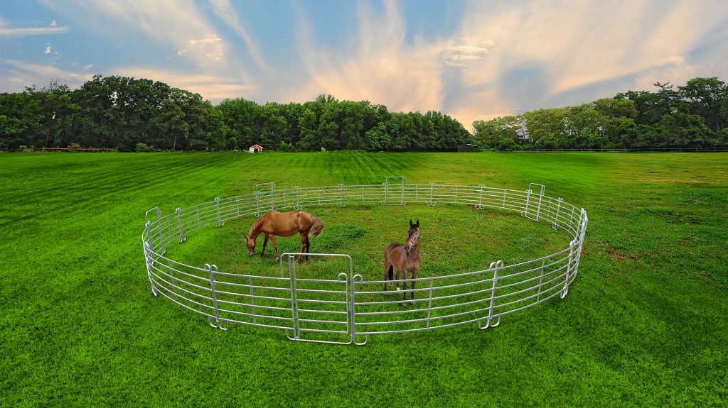 rond_de_longe_pour_chevaux_beiser_environnement